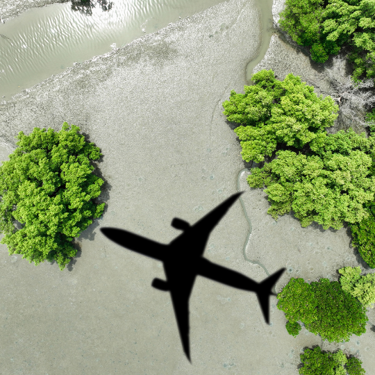 Guía para Viajar de Manera Sostenible Consejos para un Turismo Responsable